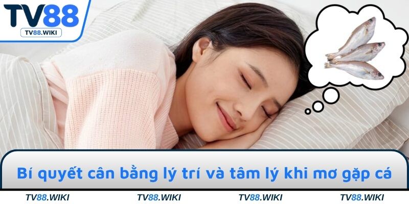 Bí quyết cân bằng lý trí và tâm lý khi mơ gặp cá