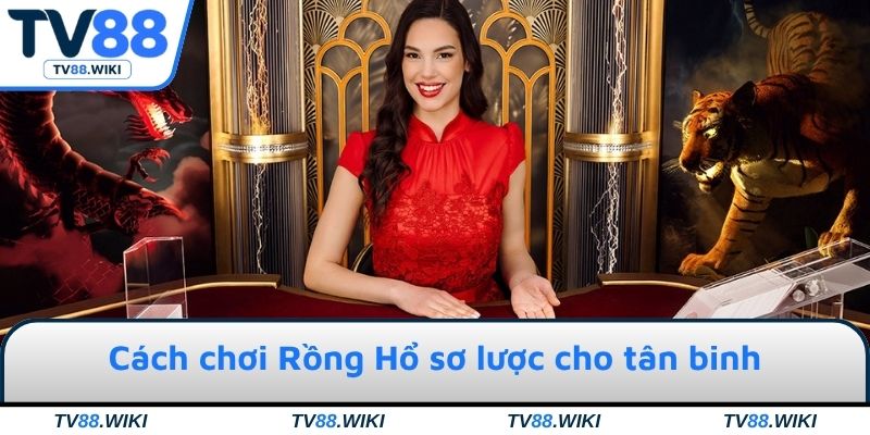 Cách chơi Rồng Hổ sơ lược cho tân binh
