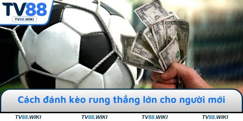 Cách đánh kèo rung thắng lớn cho người mới