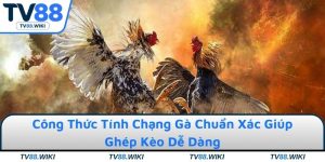Công Thức Tính Chạng Gà Chuẩn Xác Giúp Ghép Kèo Dễ Dàng