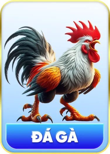 đá gà
