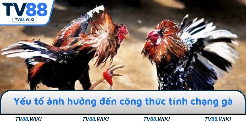 Những yếu tố ảnh hưởng đến công thức tính chạng gà