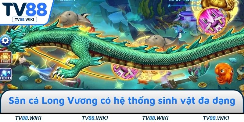Săn cá Long Vương có hệ thống sinh vật đa dạng